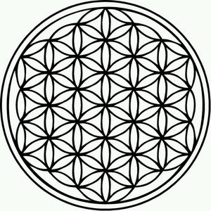 Meet your Posher, Alison